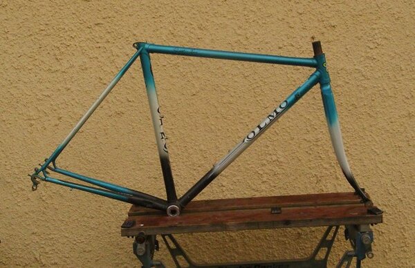 Olmo Frame.JPG