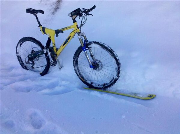 Proflex bike ski Jan 1 2011 (Small).jpg