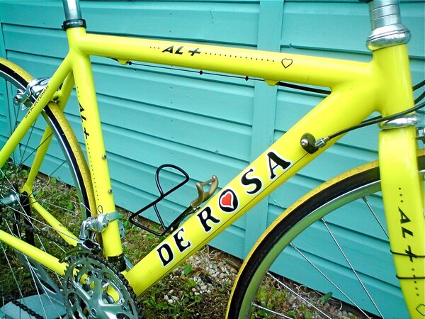 de rosa AL 2.jpg