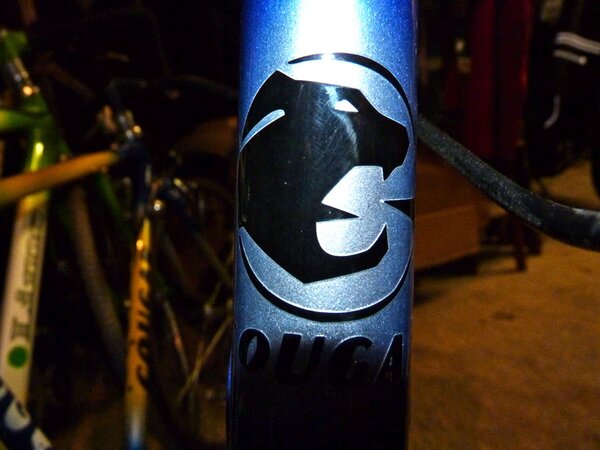 cougar head badge.jpg