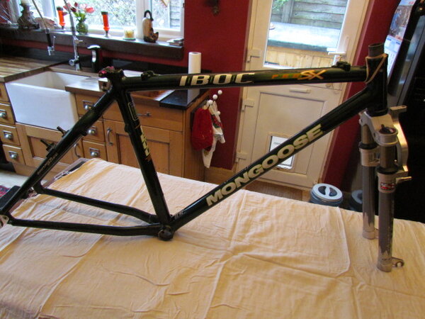 Mongoose IBOC Pro SX Carbon P1.JPG