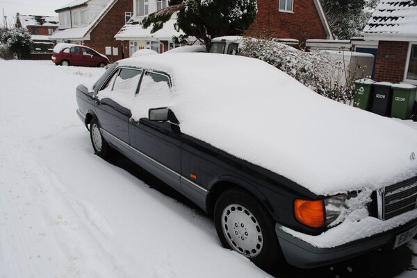 snowy merc.jpg