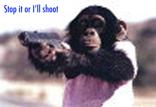 Chimp-Shop.jpg