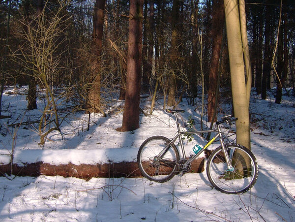 11th Feb 2012 Litespeed in the Snow 3.jpg