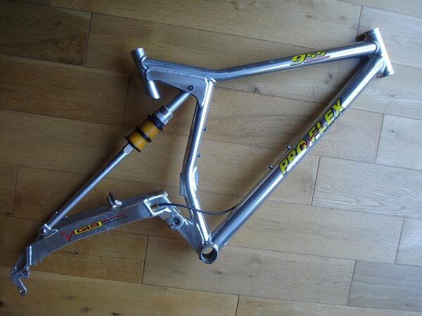 Proflex 955 frame.jpg