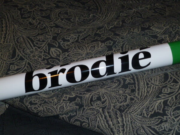 Brodie Painted 007.JPG