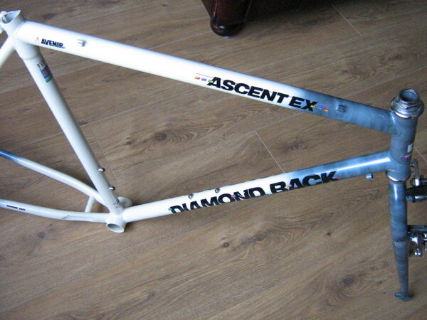 D-BACK ASCENT EX 89 003.jpg