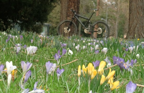 spring2012.jpg