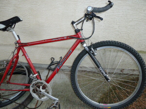 Mongoose IBOC Pro 001.JPG