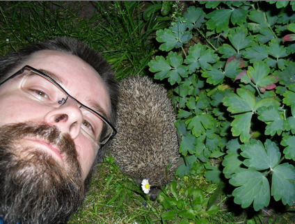 Hedgehog in garden.png