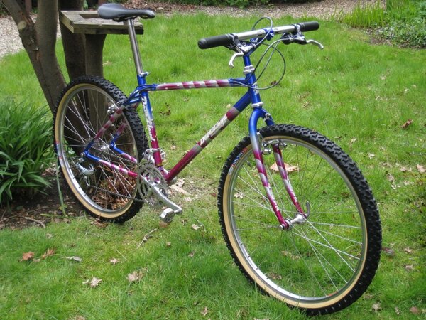 BIKE OF THE MONTH.jpg