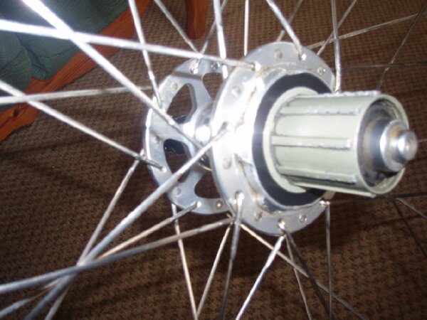 American Classic rear hub.JPG