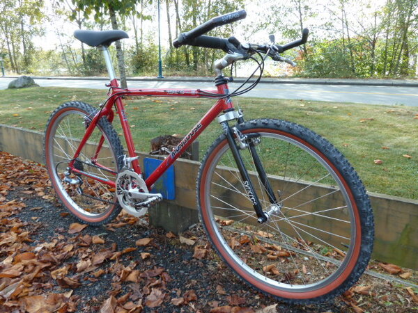 Mongoose Iboc Pro 001.JPG