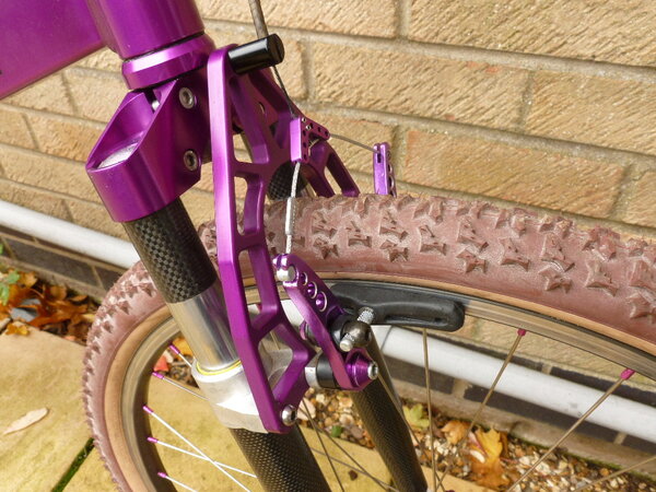 sbikepurple 013.JPG