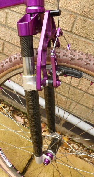 sbikepurple 015.JPG