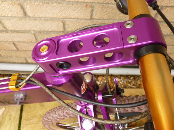 sbikepurple 018.JPG