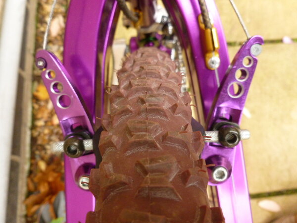 sbikepurple 042.JPG