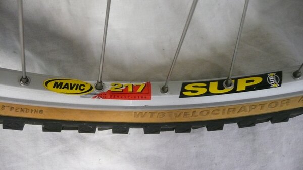 mavic,front.JPG