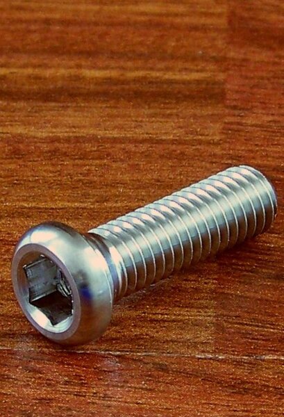 titanium bolt.JPG