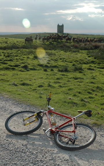 Lyme Park.jpg