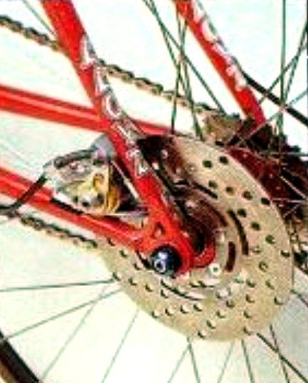 DISC BRAKES DAVE LLOYD CATS WHISKAS.jpg