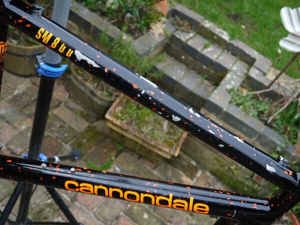 Cannondale SM800 5.jpg