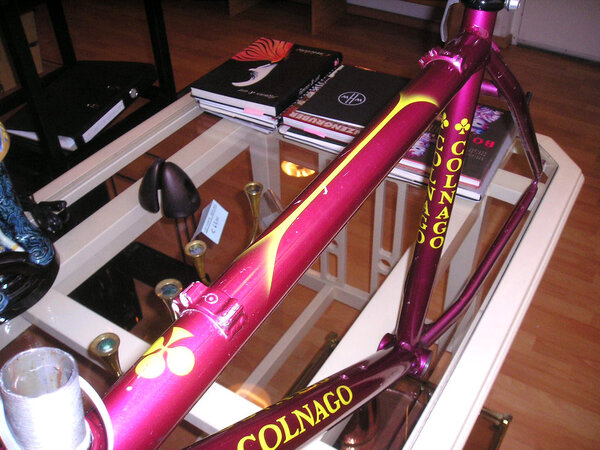 MTBColnago-(3).jpg