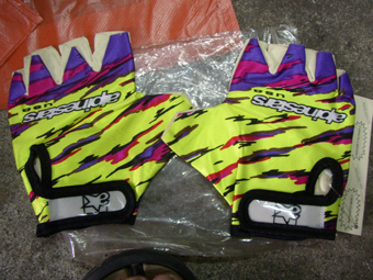 alpinestars gloves.JPG