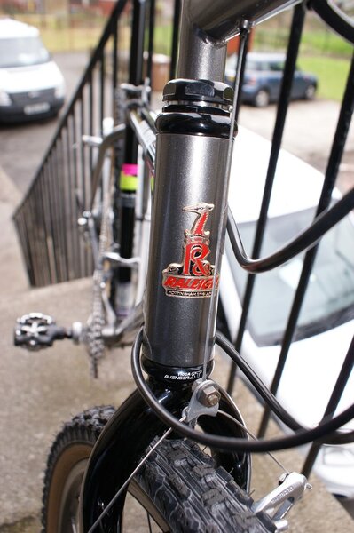 Head badge.jpg