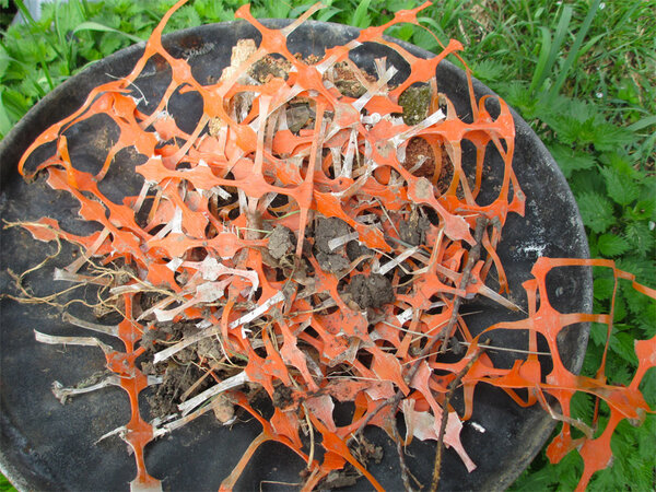 orange-plastic-fencing.jpg