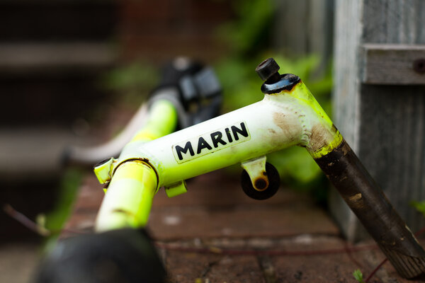 Marin-1.jpg