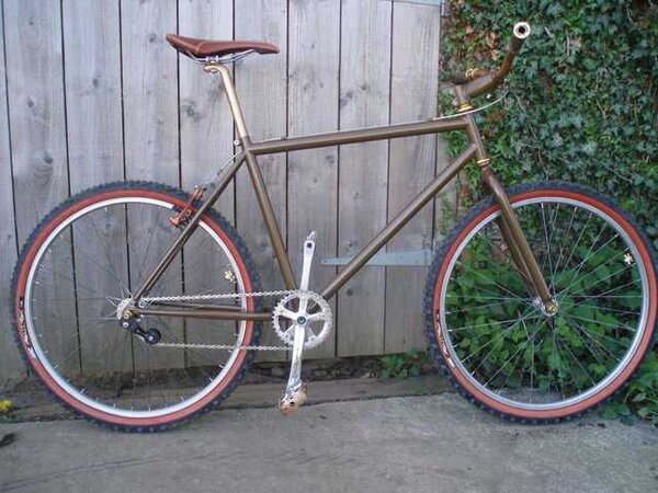 00frankenbike1.jpg