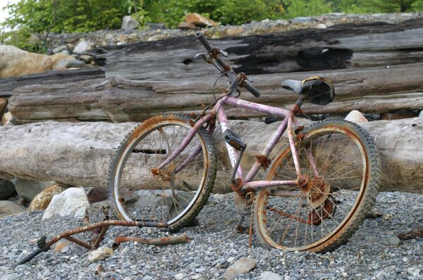 old rusty bike.jpg