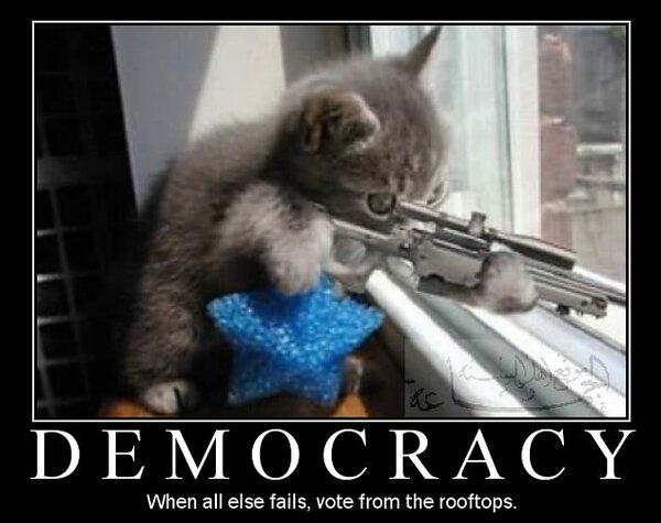 Demotivational_posters_democracy.jpg