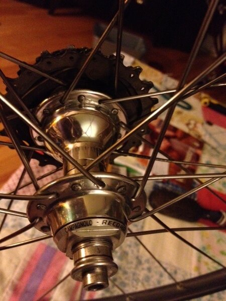 rear hub.jpg