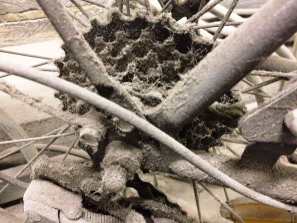 dusty-bike-sprocket.jpg