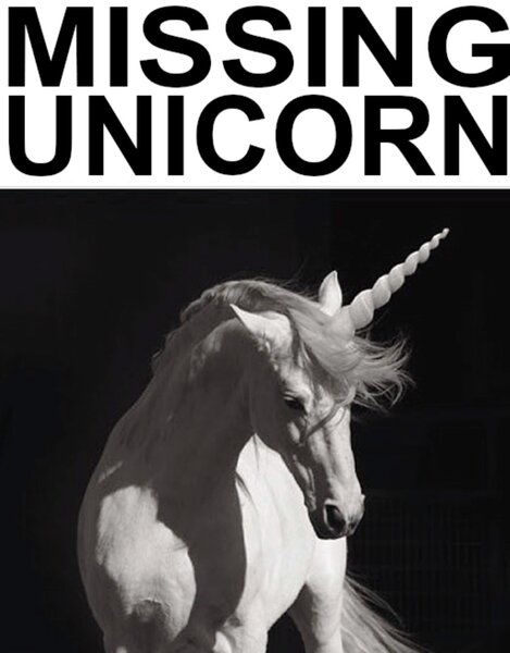 THE MISSING UNICORN..jpg