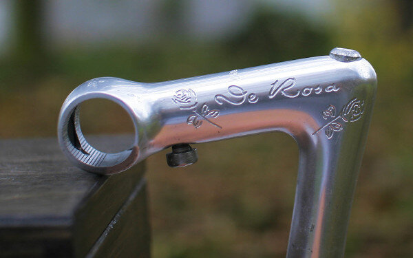 stem 1r de rosa7.jpg