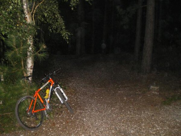 nightride 005resize.jpg