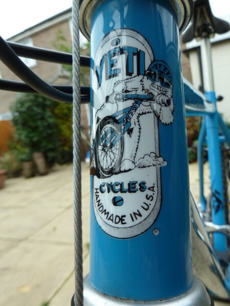 YETI fro with longer bars 021.JPG