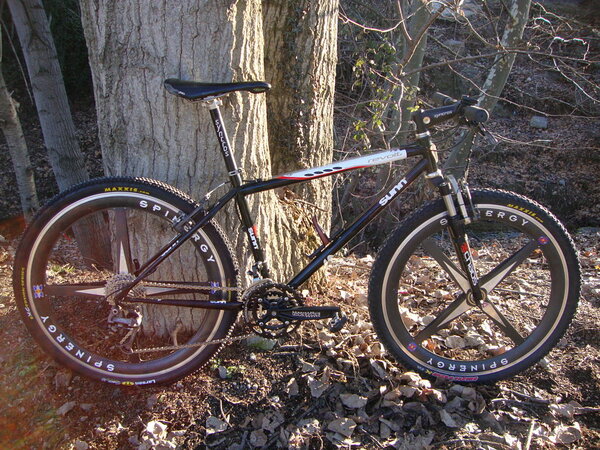 sunn foro mtb.jpg