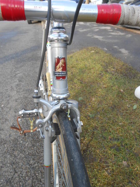 4 Head Tube.JPG