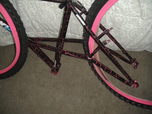 Nishiki Pink-acle.jpg