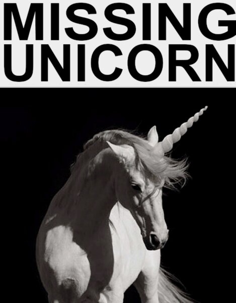 1.THE MISSING UNICORN..jpg