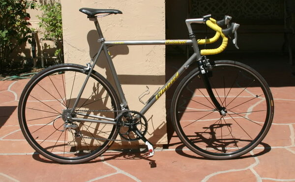 Litespeed Catalyst 1994.jpg