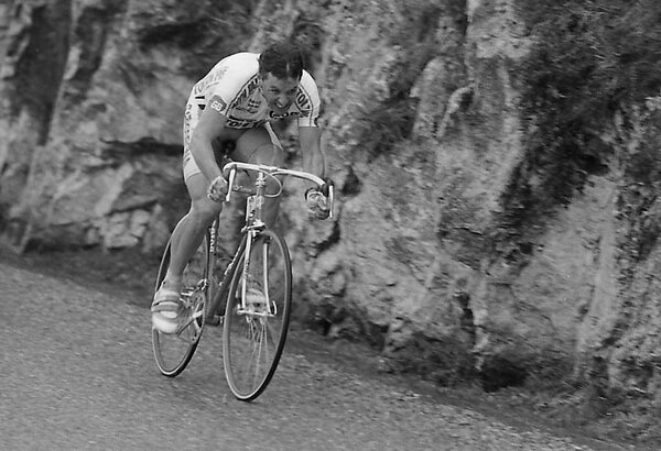 stephen_roche PN.jpg