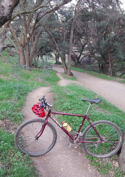 sf.Todays Ride 2-14-14 e.web.jpg