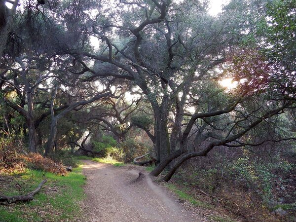 sf.Todays Ride 2-14-14 d.web.jpg