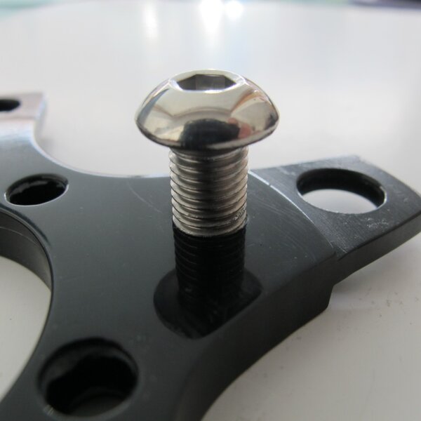 Bullseye inner chainring bolt.JPG