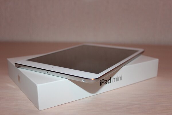 ipadmini2.jpg